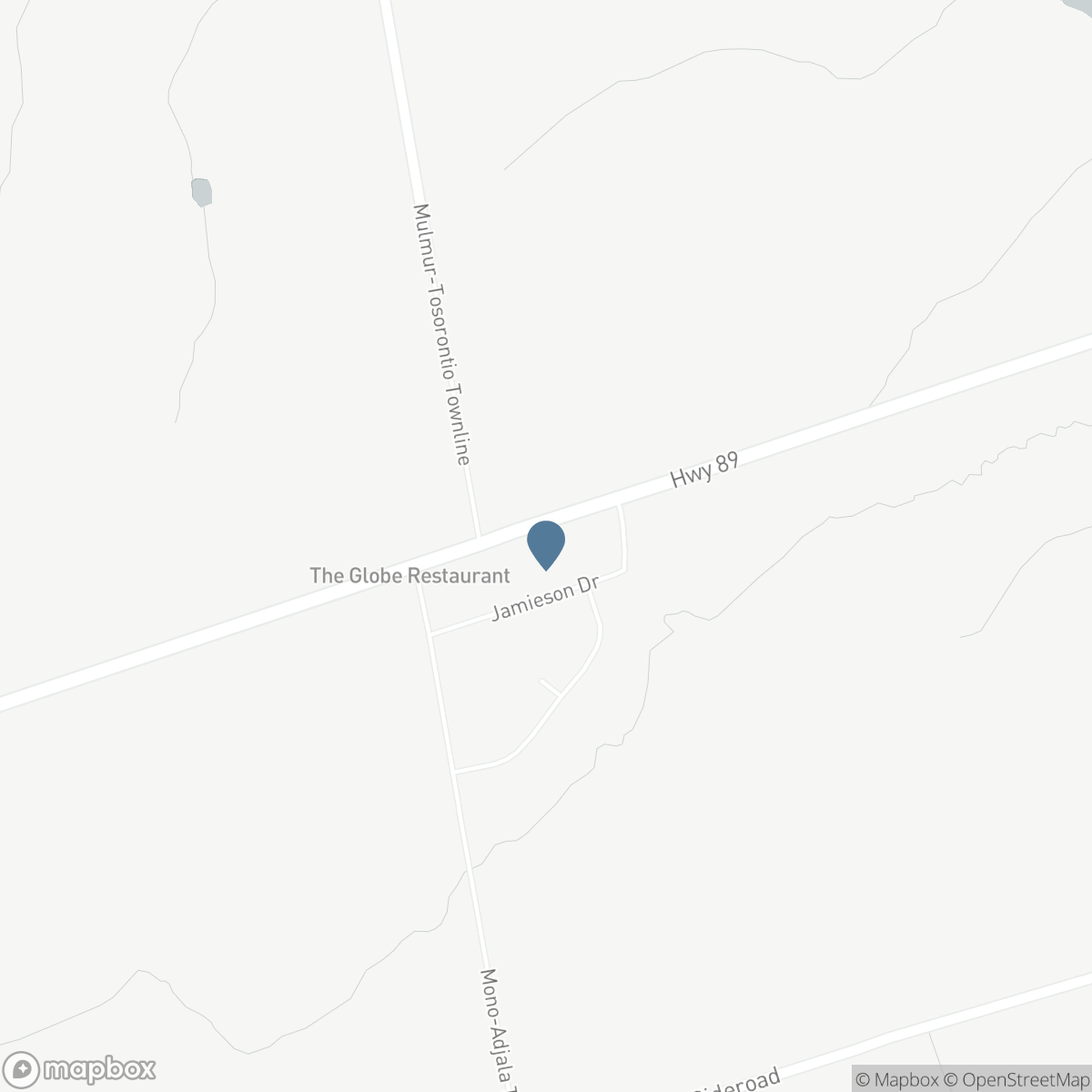 9199 HIGHWAY 89, Adjala-Tosorontio, Ontario L0N 1R0